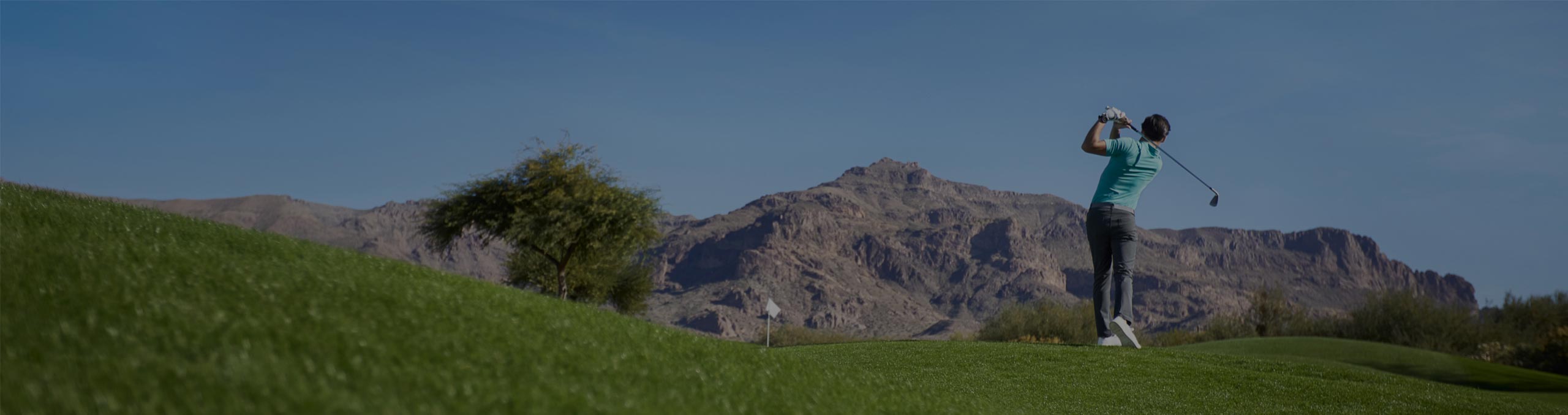 GOLF ENTHUSIAST