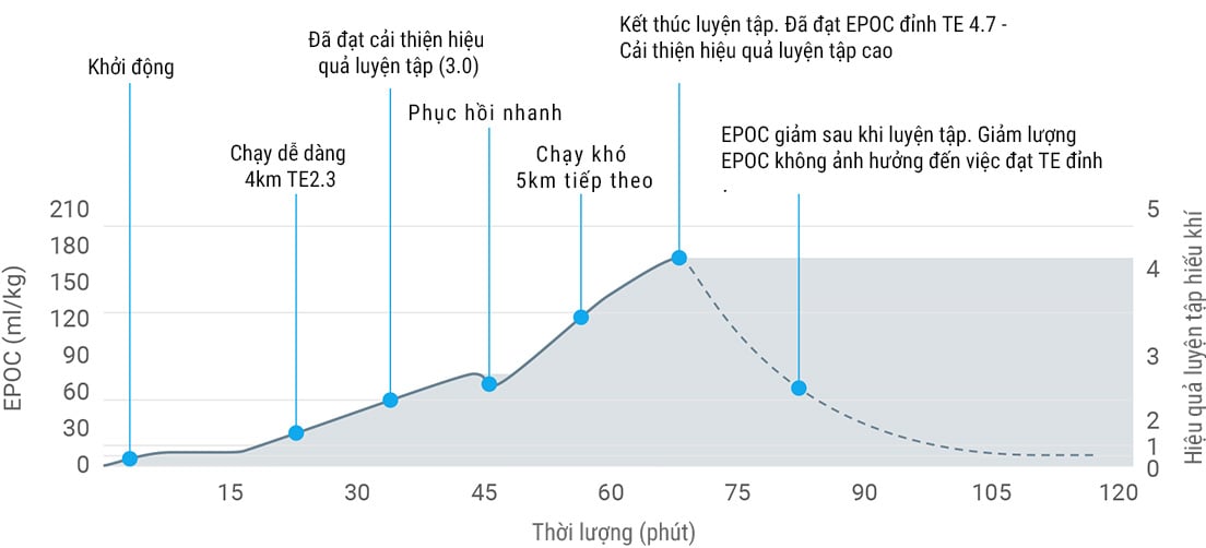 A graph showing excess post-exercise consumption derived from heart rate data during exercise.
